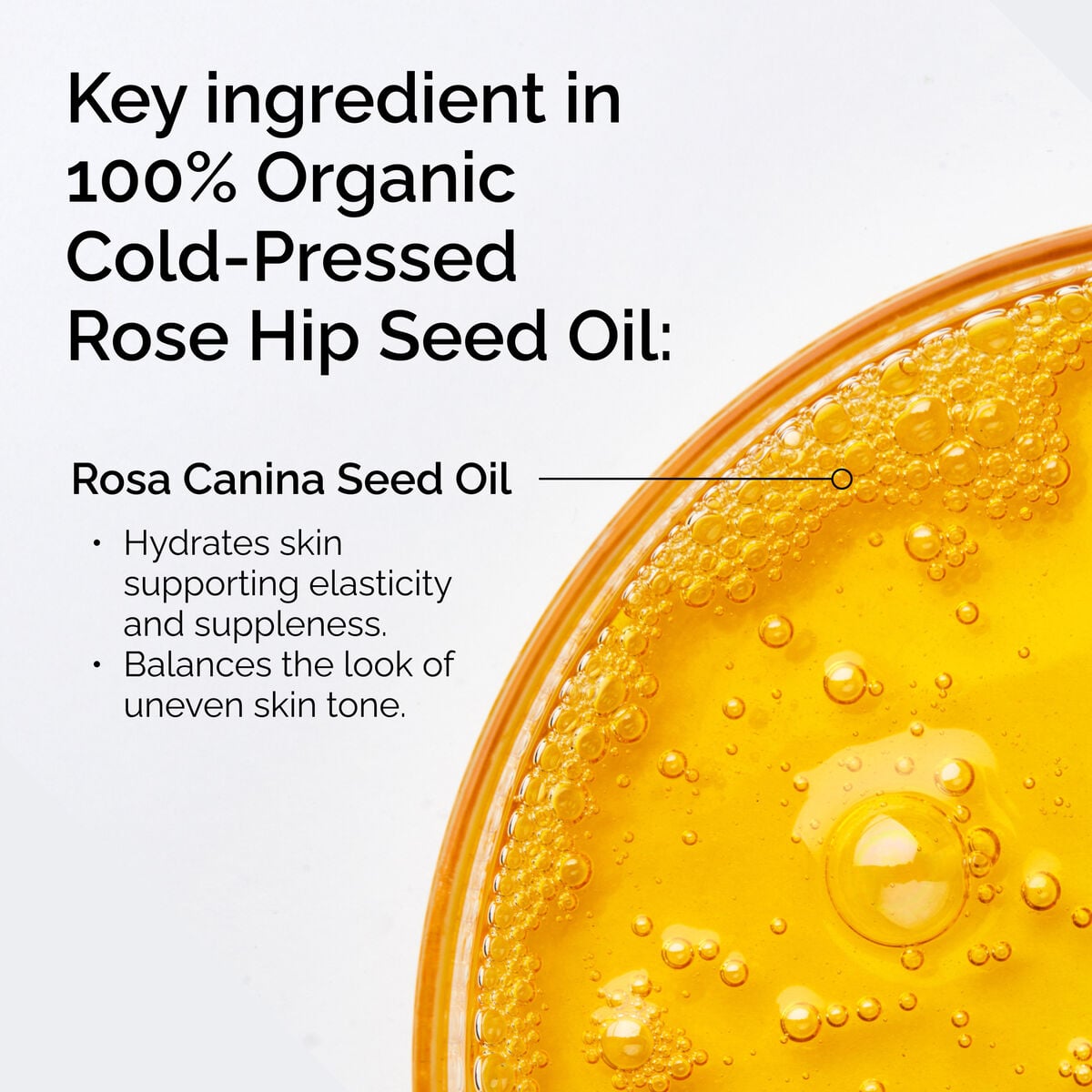 100-organic-cold-pressed-rose-hip-seed-oil-m2 FY25-D41247-ORD-Web-PDP-100-Rose-Hip-Oil-1x1-EN-2.jpg