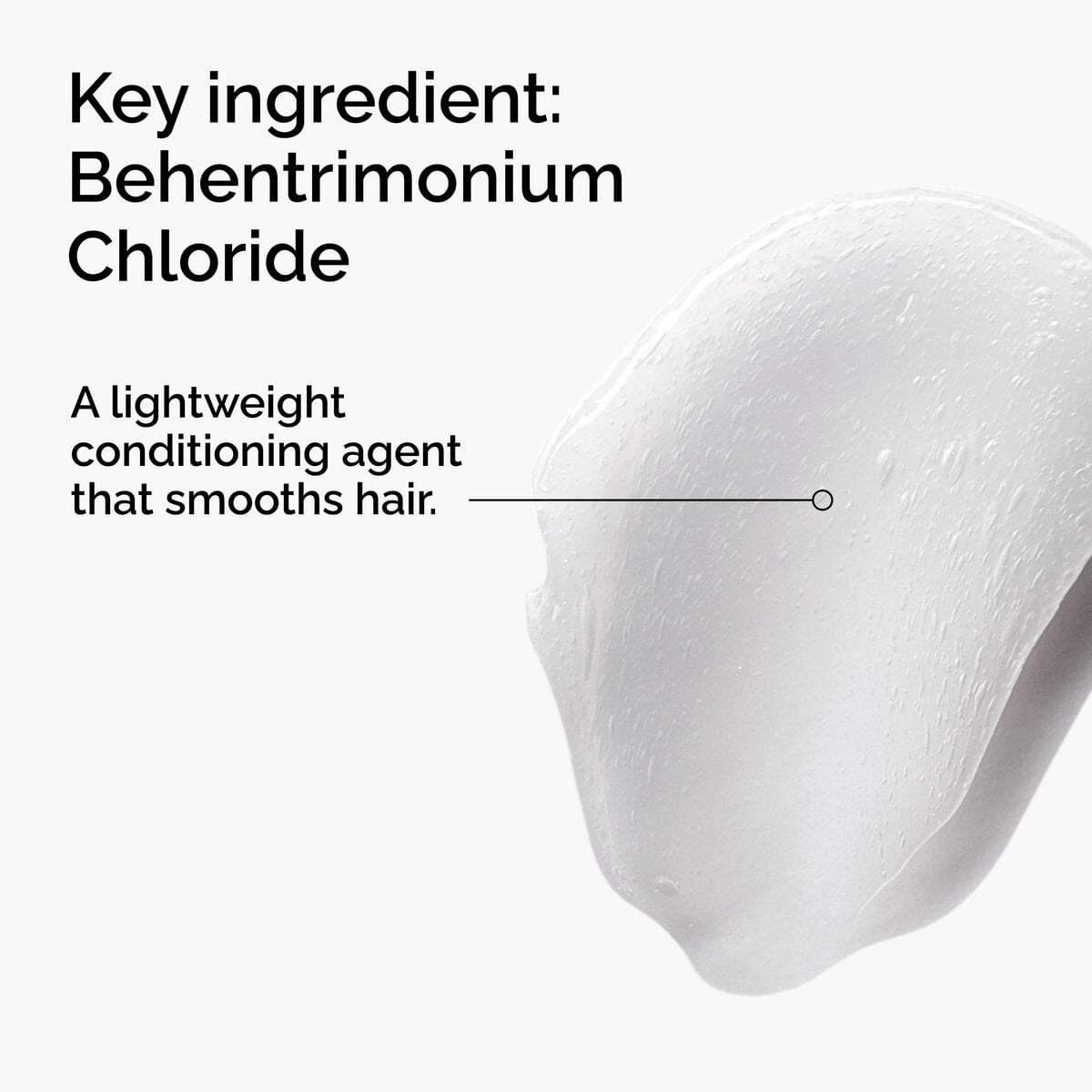 behentrimonium-chloride-2-conditioner-s7 FY25-D41247-ORD-Web-PDP-BTC-1x1-EN-2a.jpg