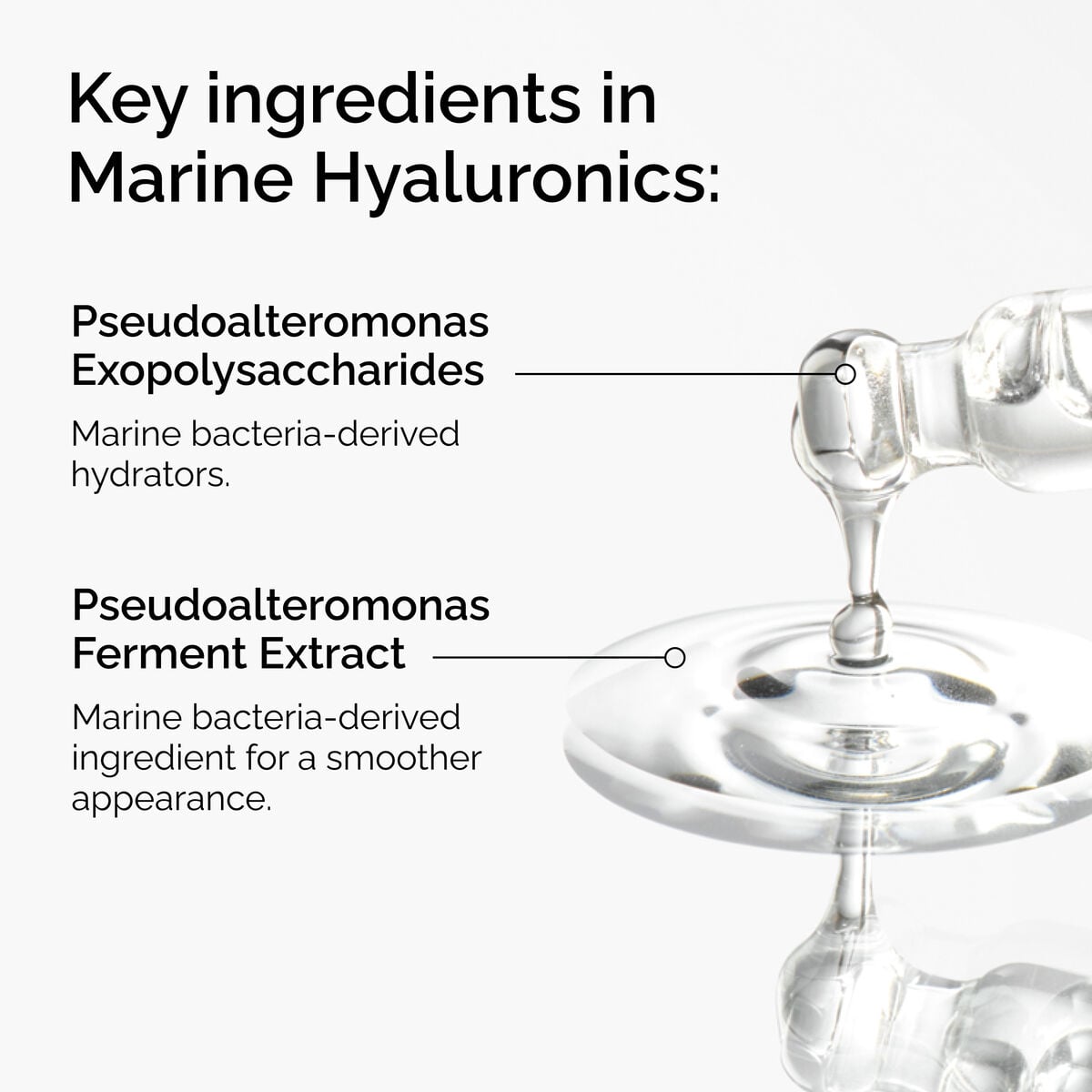 marine-hyaluronics-r4 FY25-D41247-ORD-Web-PDP-Marine-Hya-1x1-EN-2a.jpg