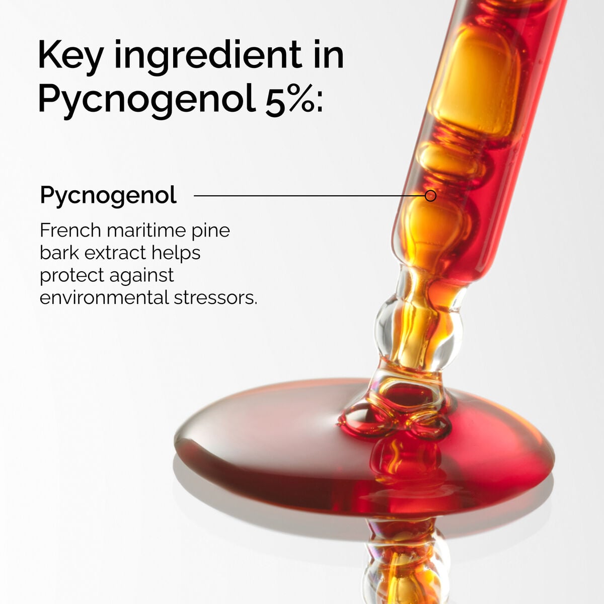 pycnogenol-5-a1 FY25-D41247-ORD-Web-PDP-Pyc-5pct-1x1-EN-2a.jpg